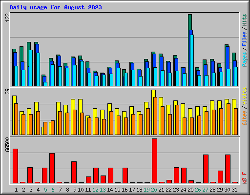 Daily usage for August 2023
