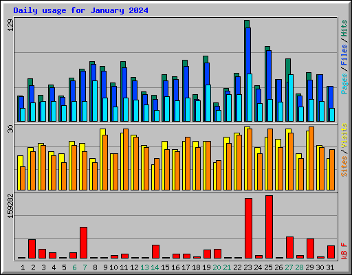Daily usage for January 2024