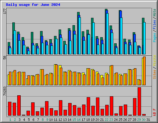 Daily usage for June 2024