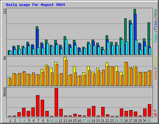 Daily usage for August 2024