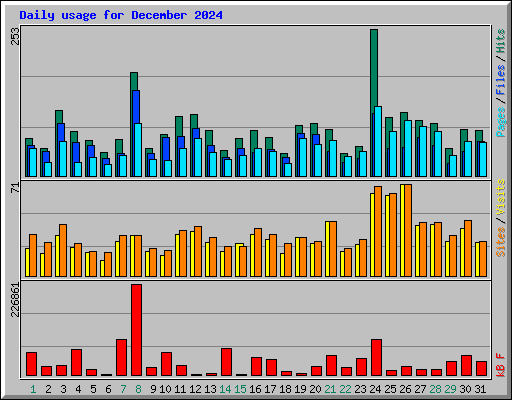 Daily usage for December 2024