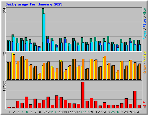 Daily usage for January 2025