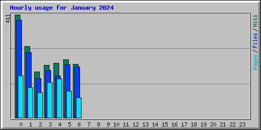 Hourly usage for January 2024