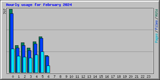 Hourly usage for February 2024