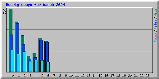 Hourly usage for March 2024