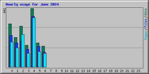 Hourly usage for June 2024