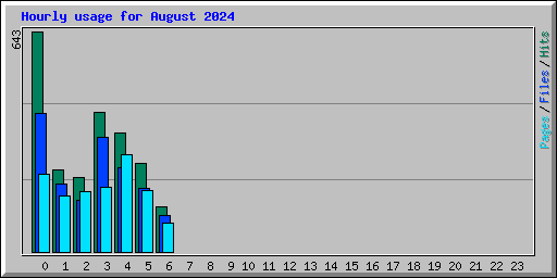 Hourly usage for August 2024