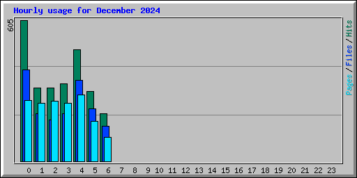 Hourly usage for December 2024