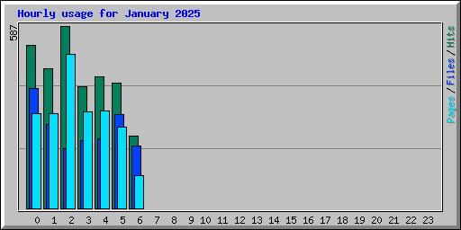 Hourly usage for January 2025