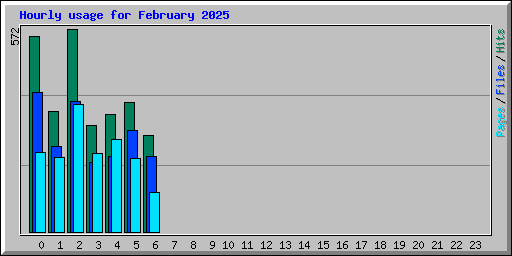 Hourly usage for February 2025