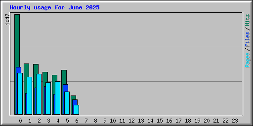 Hourly usage for June 2025