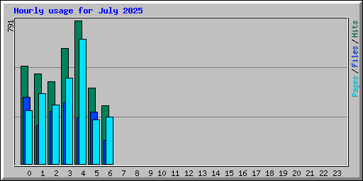 Hourly usage for July 2025