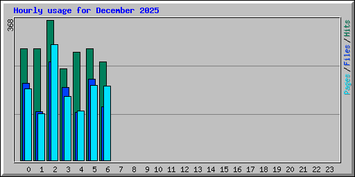 Hourly usage for December 2025