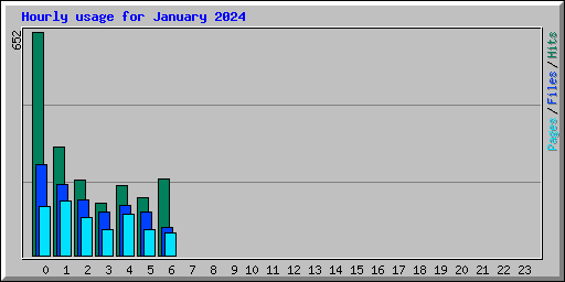 Hourly usage for January 2024