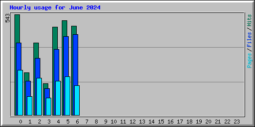 Hourly usage for June 2024