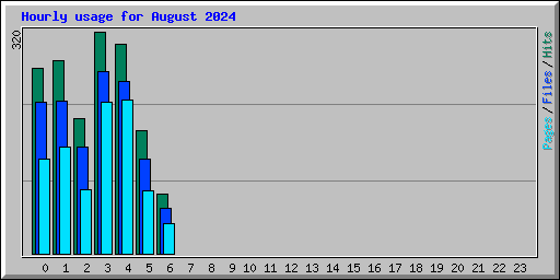 Hourly usage for August 2024