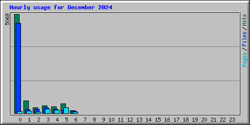 Hourly usage for December 2024