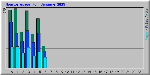 Hourly usage for January 2025