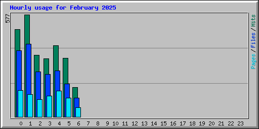 Hourly usage for February 2025
