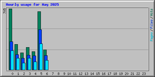 Hourly usage for May 2025