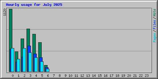 Hourly usage for July 2025