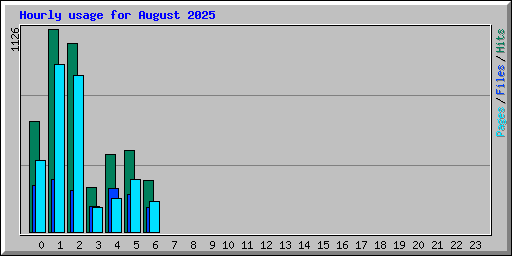 Hourly usage for August 2025